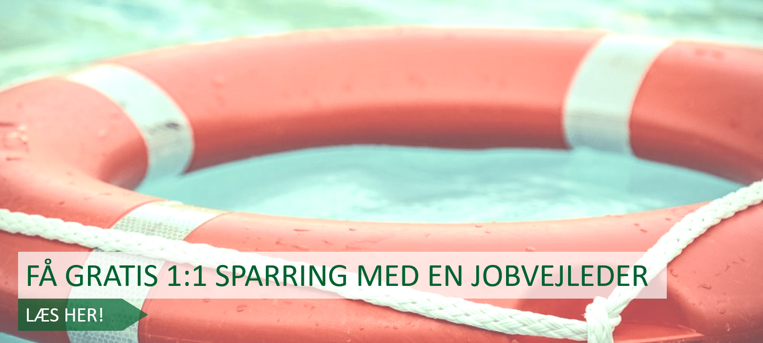 Jobvejleder